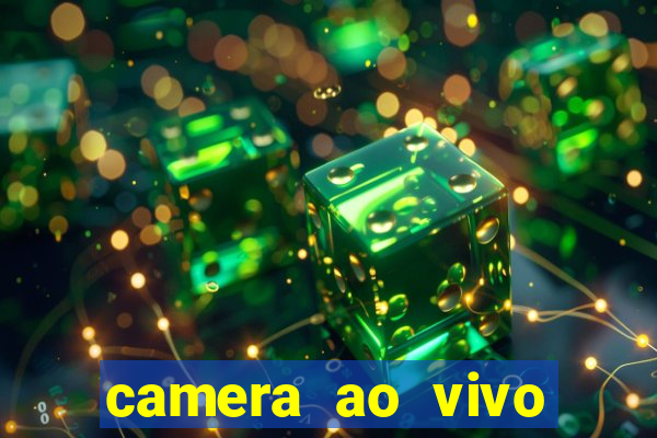 camera ao vivo terminal vila nova cachoeirinha